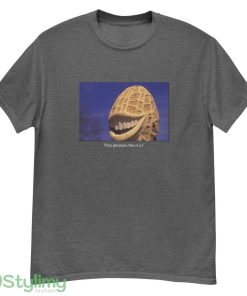 This Pleases The Nut shirt This Pleases The Nut smile t shirt - G500 Men’s Classic T-Shirt-1