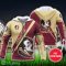 Florida State Seminoles Custom Name 3D Hoodie Unisex Sport Team Gift Product Photo 2