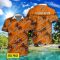 FC Volendam 3D Hawaiian Shirt and Shorts Vinatge Tree Pattern Beach Shirt For Fans Product Photo 2