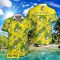 Fortuna Sittard 3D Hawaiian Shirt and Shorts Vinatge Tree Pattern Beach Shirt For Fans Product Photo 2